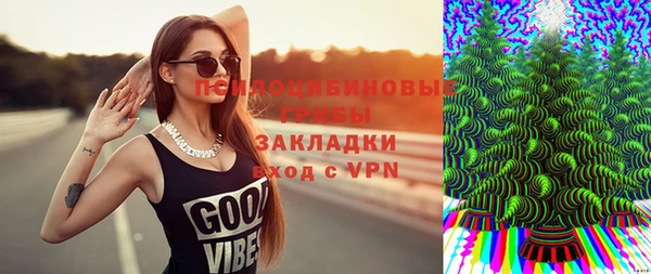 твердый Нефтегорск