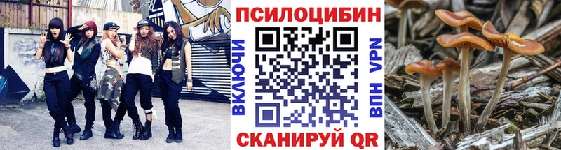 Псилоцибиновые грибы прущие грибы  сколько стоит  Астрахань 