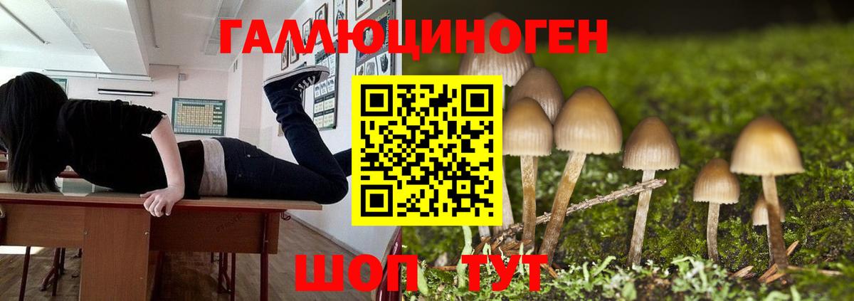 Псилоцибиновые грибы ЛСД Астрахань